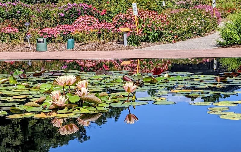 Royal Botanical Gardens - Image 2