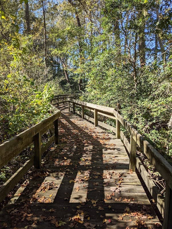 Cape Charles Natural Area Preserve - Image 1