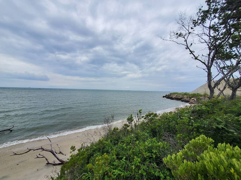 Cape Charles Natural Area Preserve - Image 2