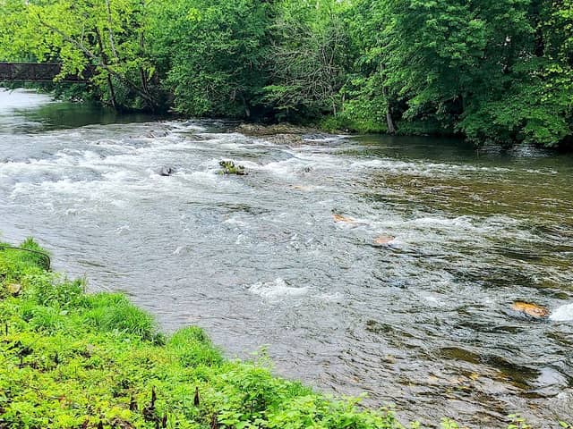 Great Smoky Mountain Camp and RV Park - Image 2
