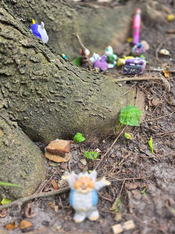 Community Fairy Garden - Image 1