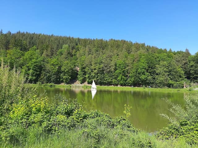 Haunesee - Image 1
