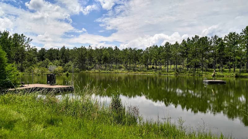 Twins Peak Lodge - Image 1