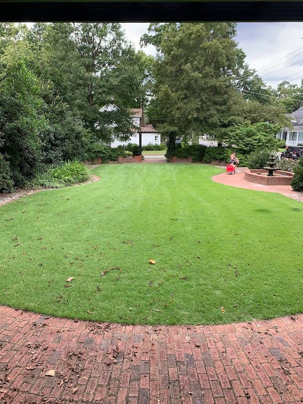 Alice Park - Image 1