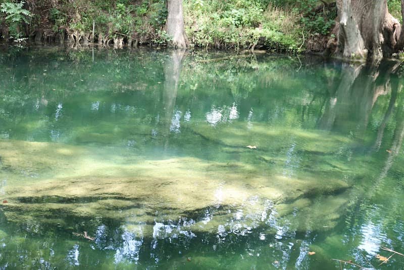 Cypress Creek Nature Preserve - Image 1