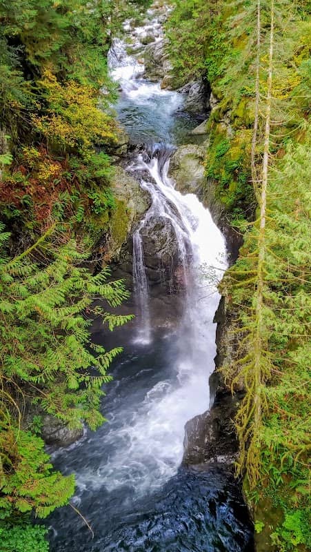 Lynn Canyon Park - Image 1