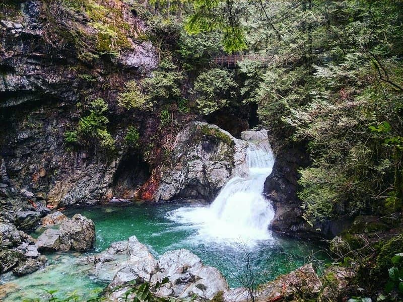 Lynn Canyon Park - Image 3