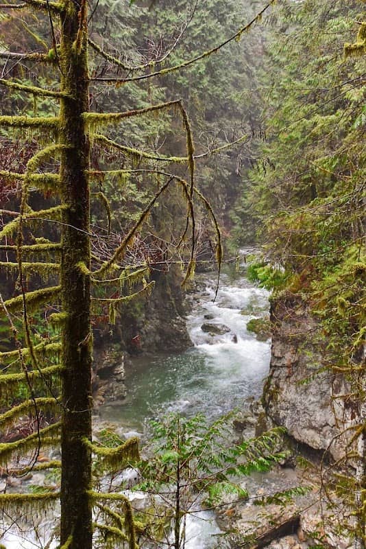 Lynn Canyon Park - Image 2