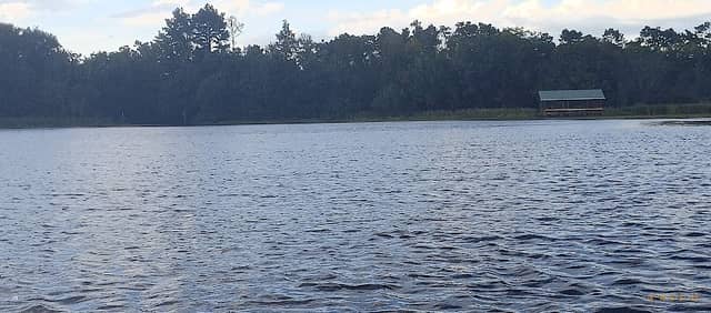 Lake Seminole Wildlife Management Area - Image 2