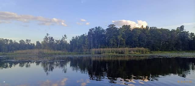 Lake Seminole Wildlife Management Area - Image 3