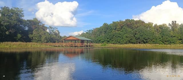 Lake Seminole Wildlife Management Area - Image 1