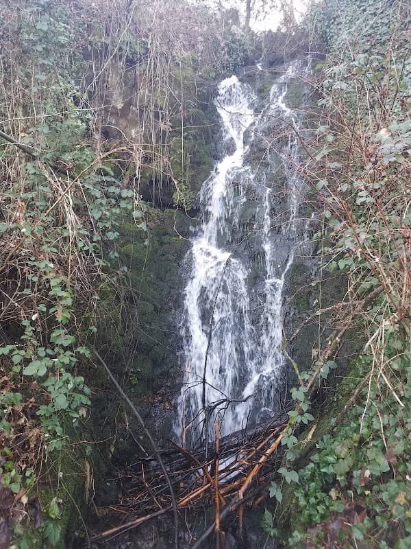 Coffee Creek Falls - Image 1