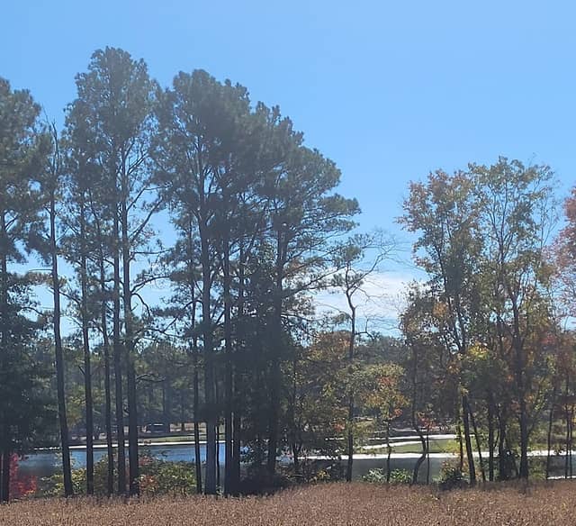 Battlefield Park - Image 2