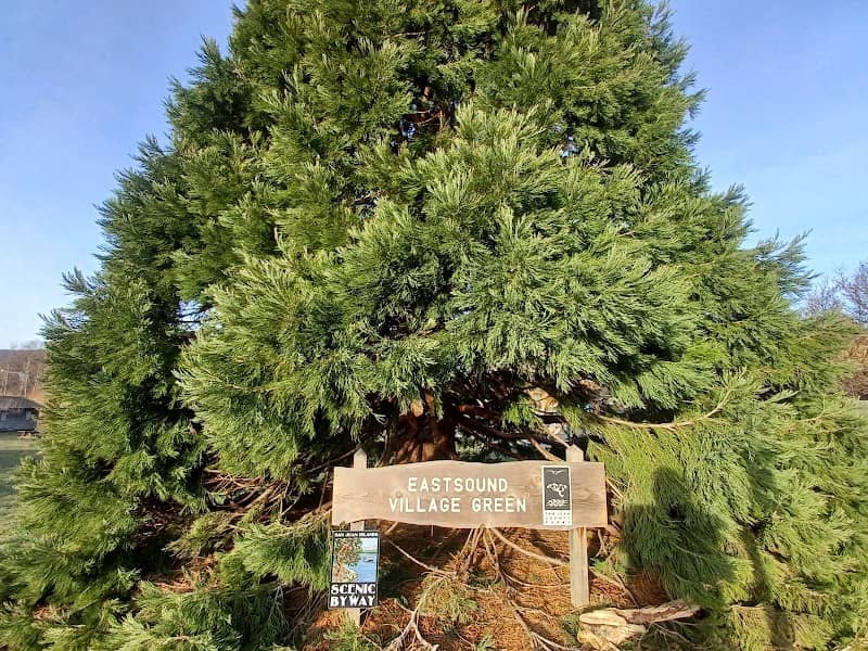 Village Green Tree of Mystery - Image 1
