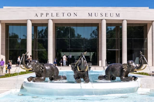 Appleton Museum of Art - Image 1
