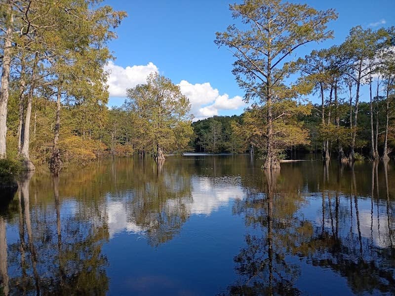 Cheniere Lake Park Area 7 - Image 2