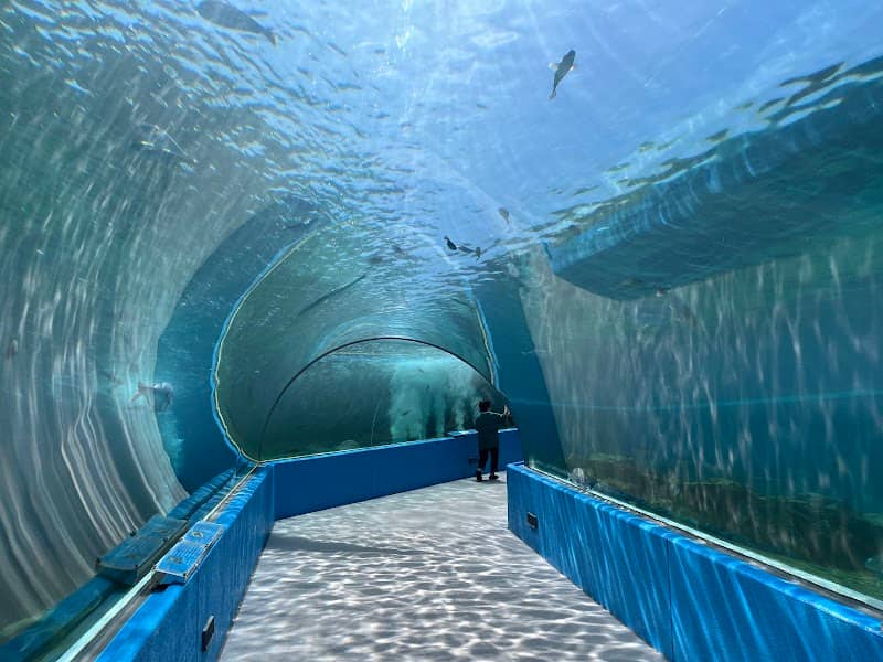 Notojima Seaside Park - Image 1