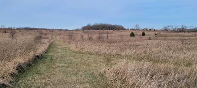 Waukegan Savanna Forest Preserve - Image 1