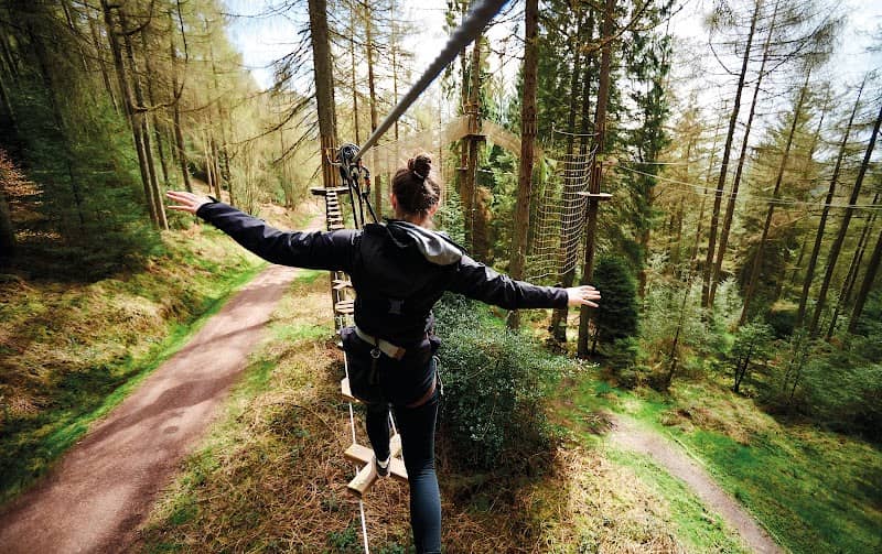 Go Ape Thetford - Image 2