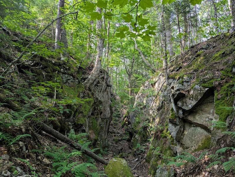 Pierce Lead Mine Trail - Image 1