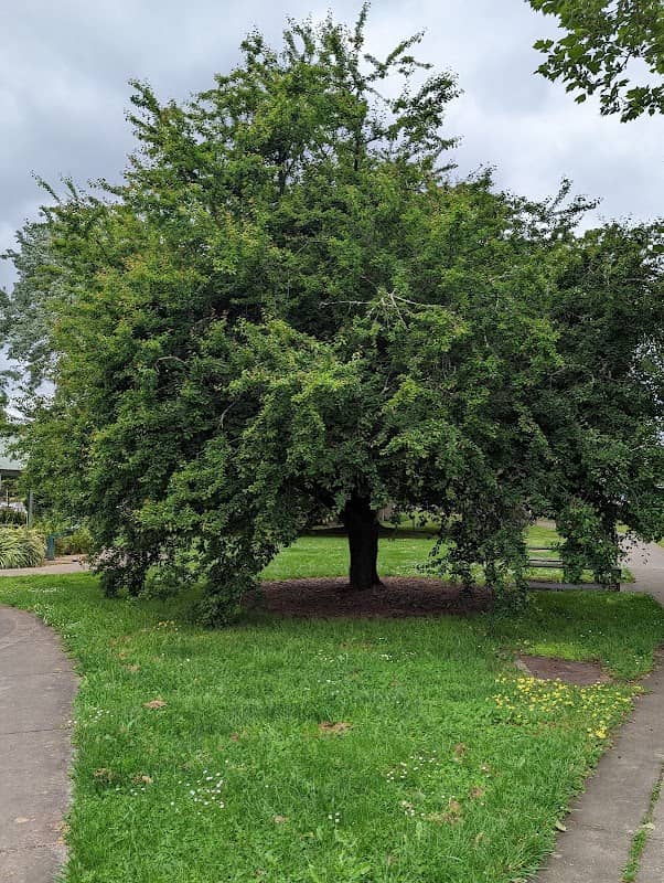 Gardiner reserve - Image 1