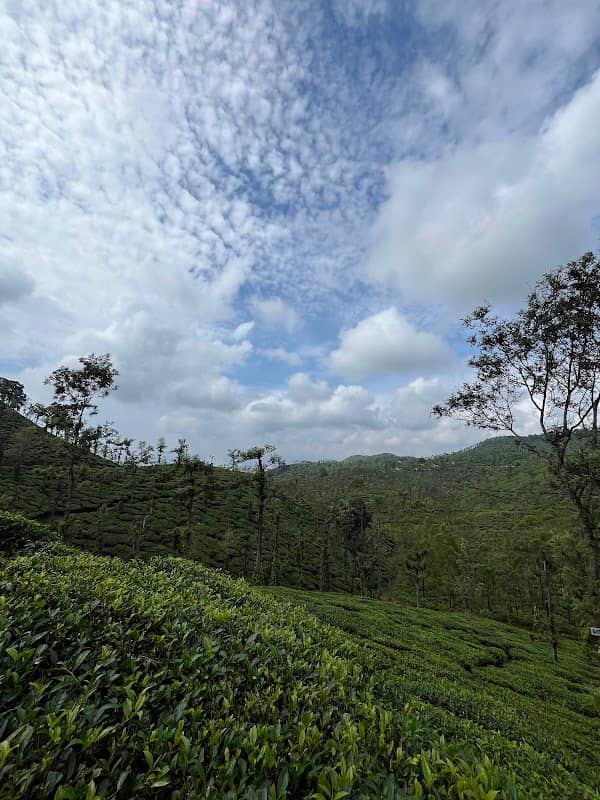 Nadukani Churam - Image 3