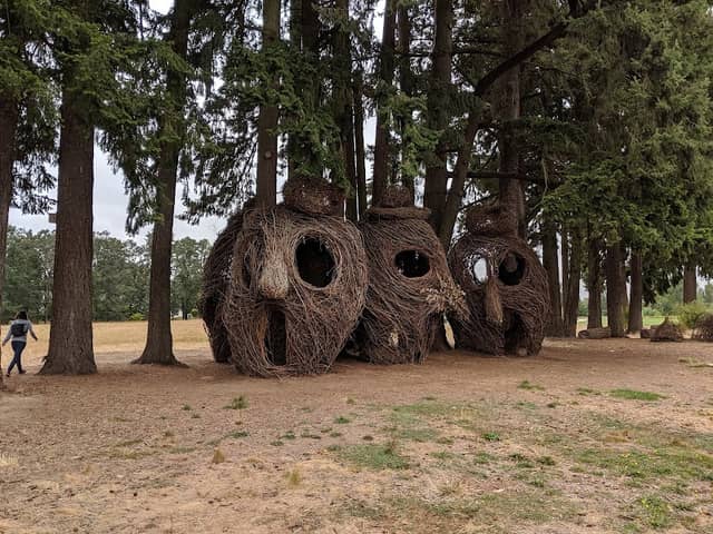 Orenco Woods Nature Park - Image 2