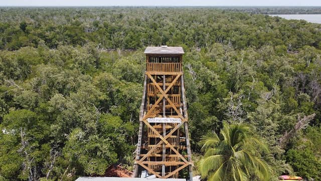 Ernest Hamilton Observation Tower - Image 2