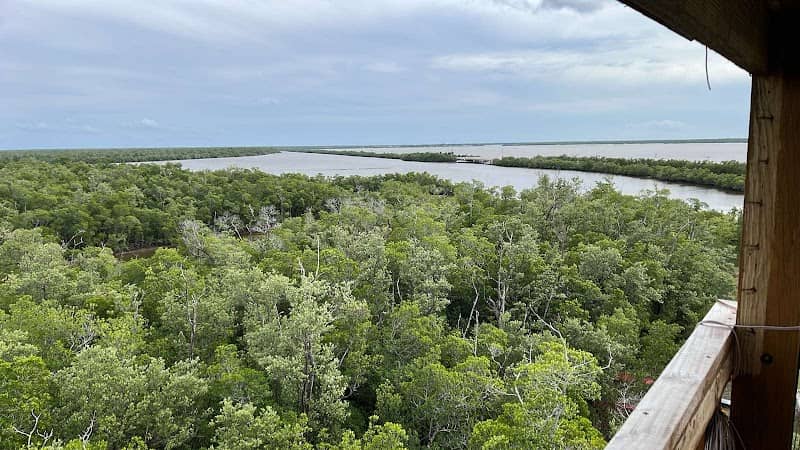 Ernest Hamilton Observation Tower - Image 1
