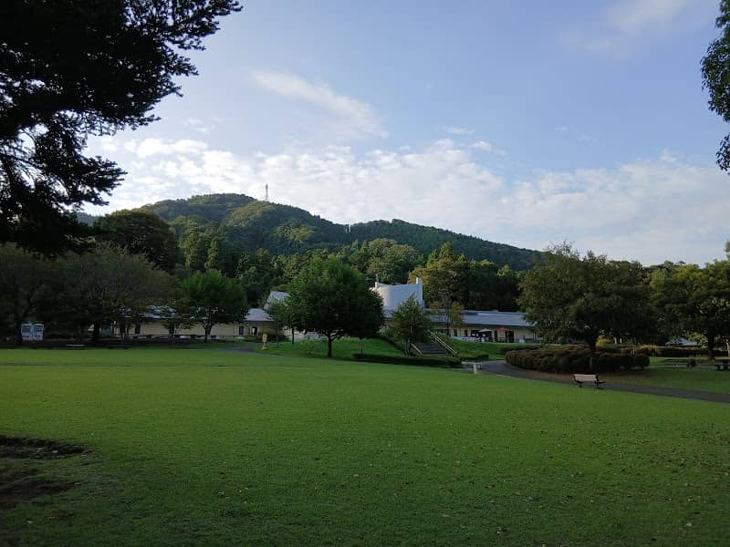 Aikawa Park Christmas Tree - Image 1