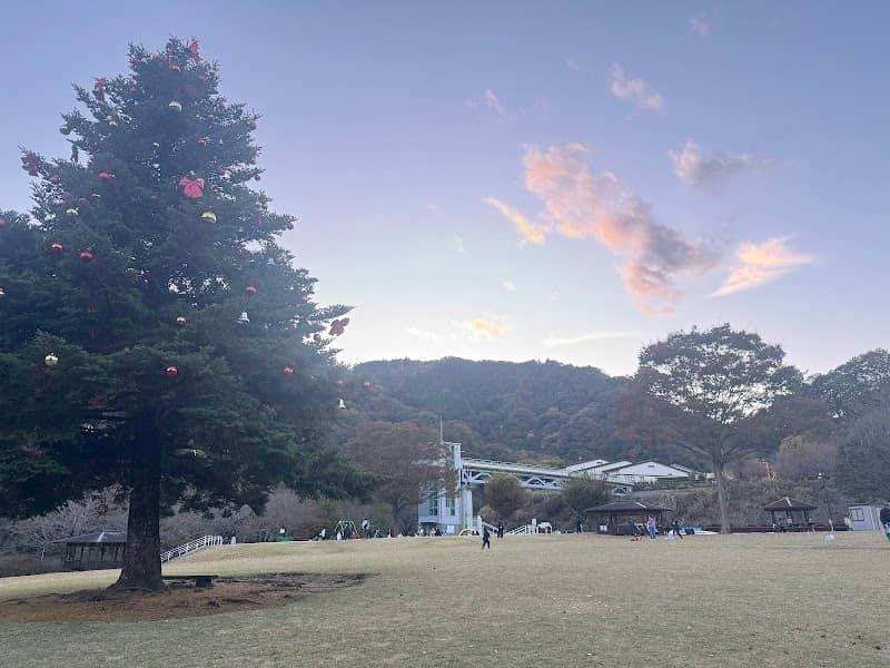 Aikawa Park Christmas Tree - Image 2
