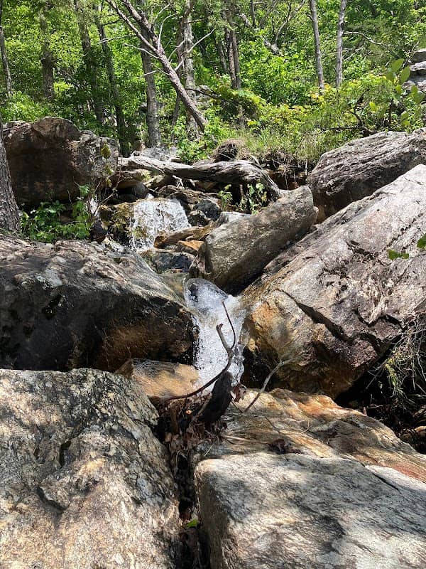 Rock Garden - Image 1