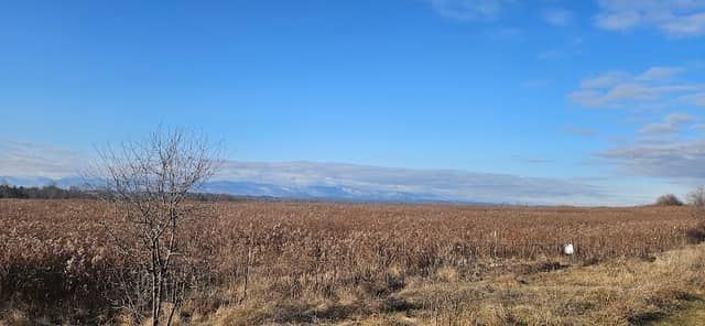 Stockport Flats Wildlife Management Area - Image 1