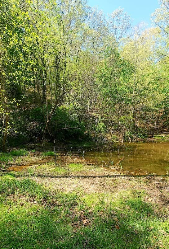 Letart Nature Park - Image 3