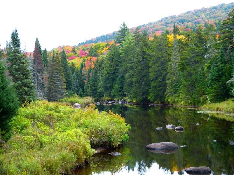 Siamese Ponds Wilderness - Image 1
