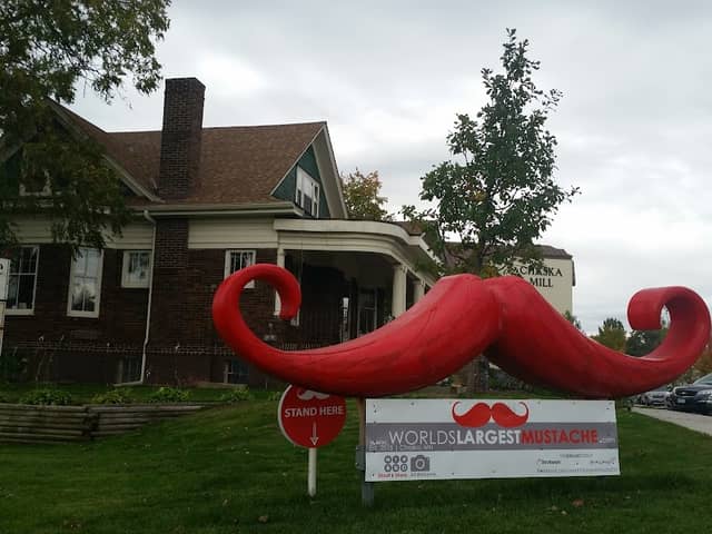 World's Largest Mustache - Image 2