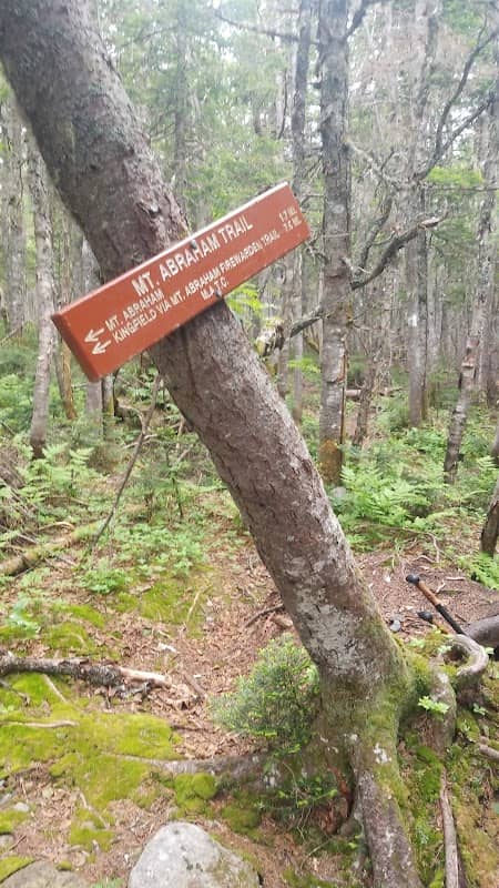 Mt. Abraham / AT Trail Junction - Image 2