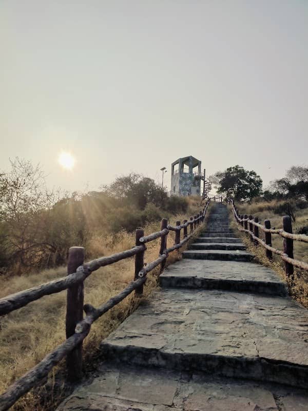 Victoria Park Bhavnagar - Birds Century - Image 1