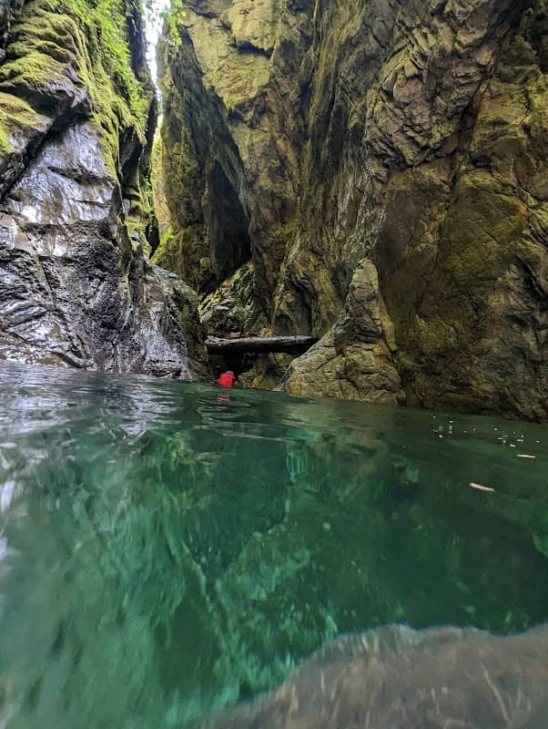 Scenery tours Vancouver Island - Image 3