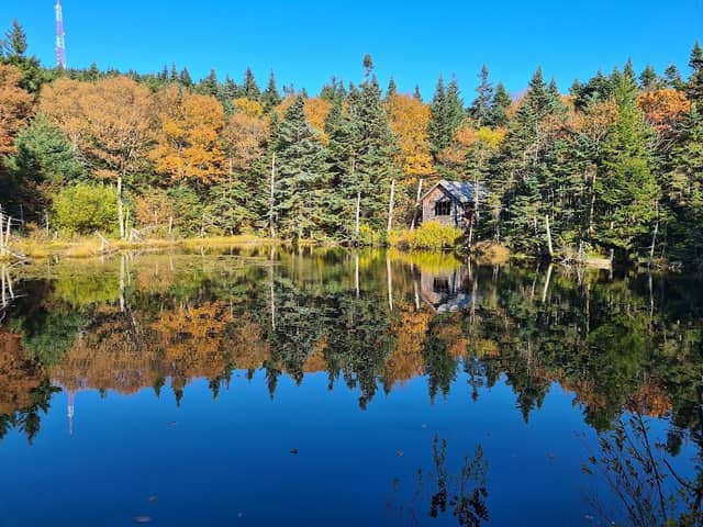 Rockwell Pond - Image 1