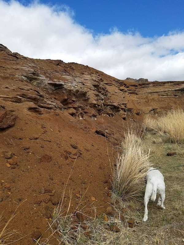 Lower Old Works Trail - Image 2