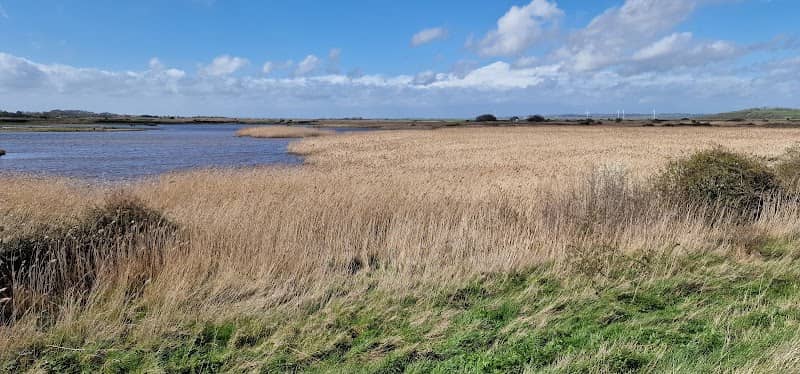 Oare Meadow - Image 1