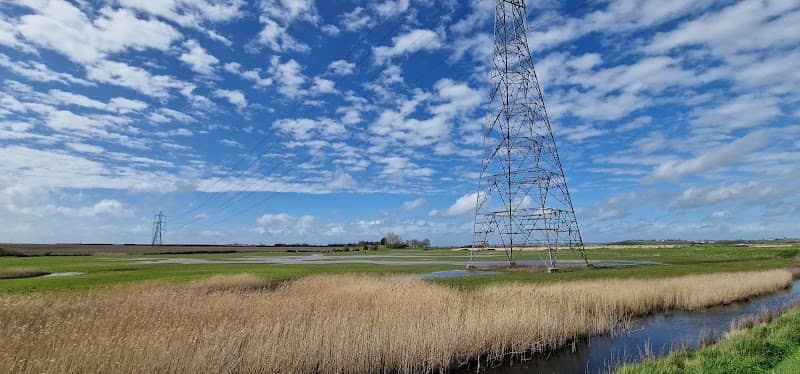 Oare Meadow - Image 2