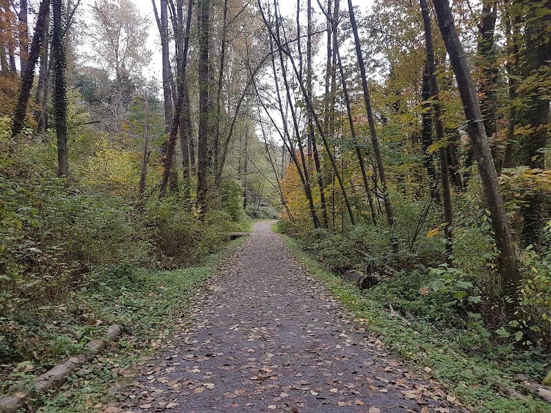 Glenbrook Ravine Park - Image 2