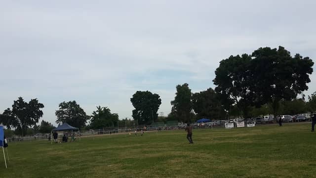 Whitendale Park - Image 1