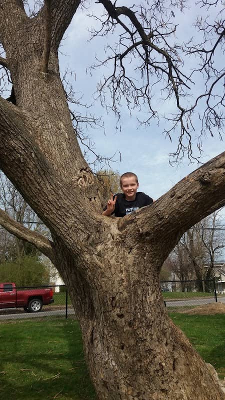 Rock Fence Park - Image 2