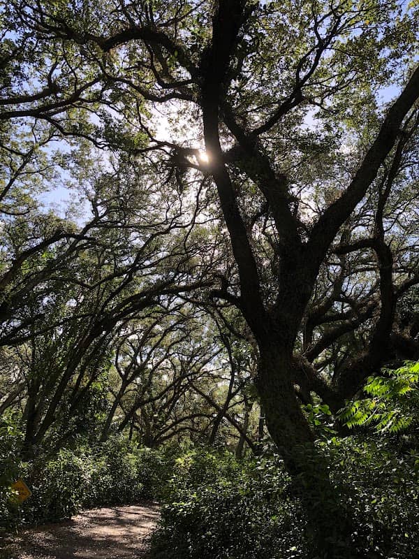 Tree Tops Park - Image 1