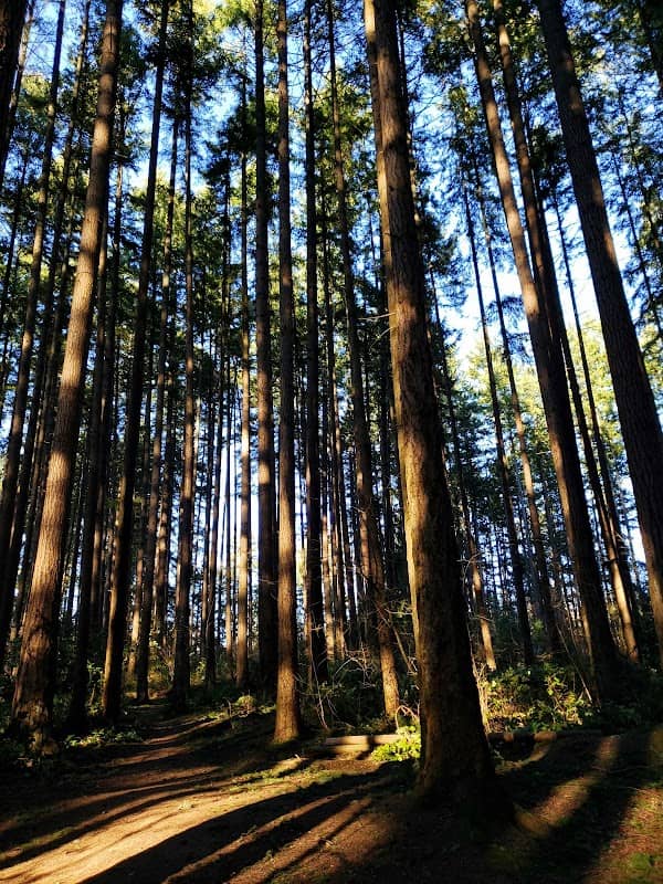 Juanita Woodlands Park - Image 1