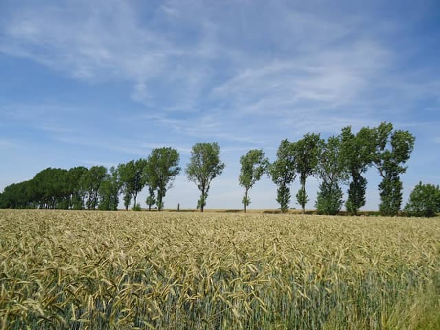 Parthenaue Plösitz-Dewitz - Image 2
