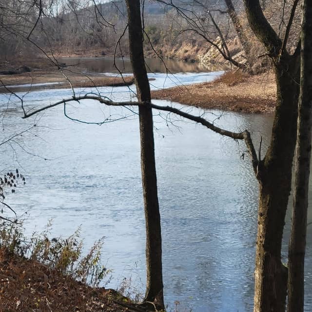 Hagemeister House Park - Image 2